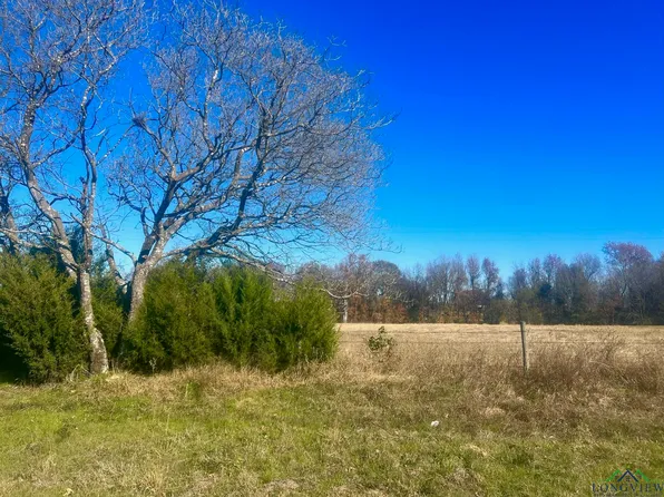 Tbd Fm 3384, Pittsburg, TX 75686