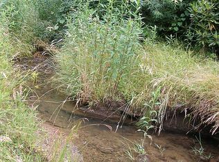 1132 Frozen Crk, Brevard, NC 28712