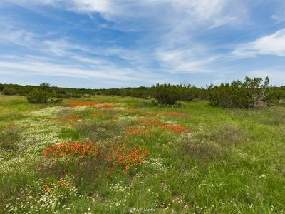 TRACT 3 Us Highway 277 S, Wingate, TX, 79566
