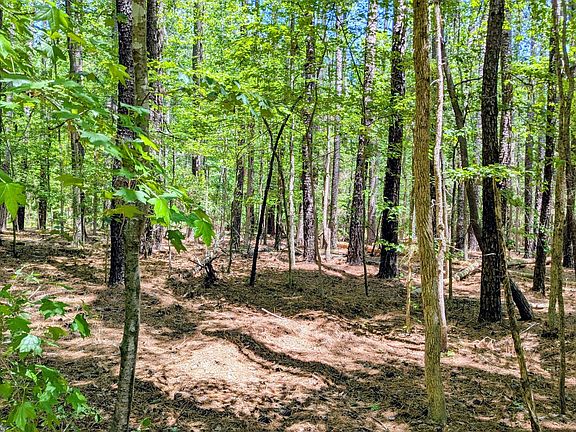 3rd image of LOT 1 Blueberry Ln Lot 1