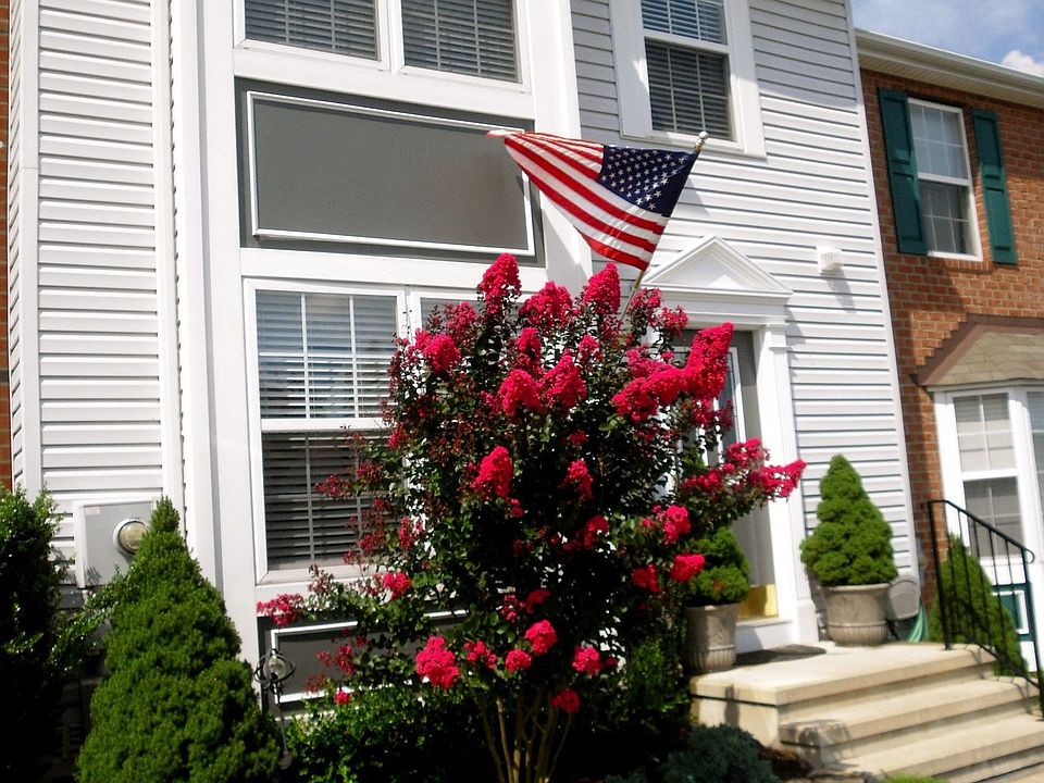 Front yard view