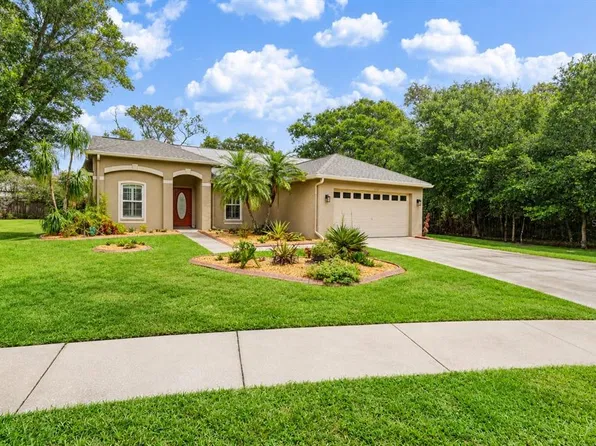 14701 REDCLIFF DRIVE, TAMPA, FL 33625
