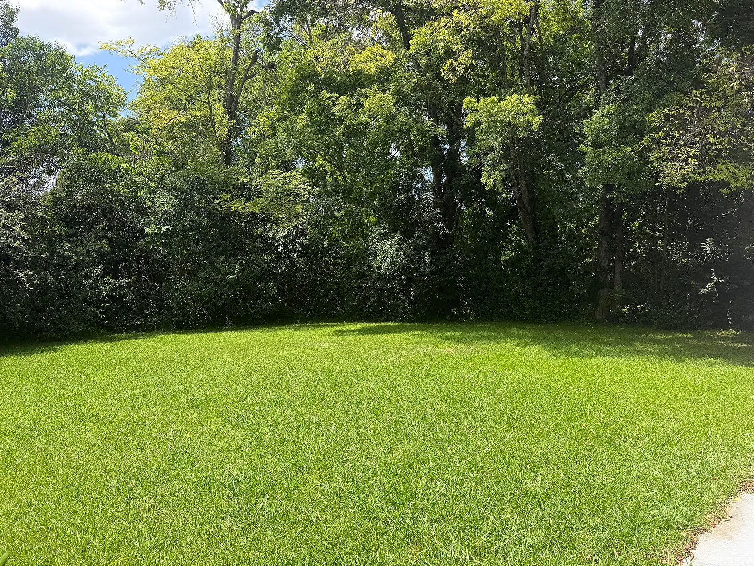 3 bed, 918 sqft, $1,150 — Photo 4
