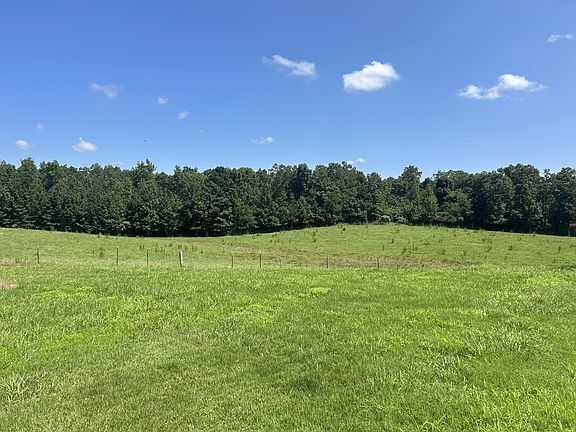 4th image of 3421 George Olive Rd