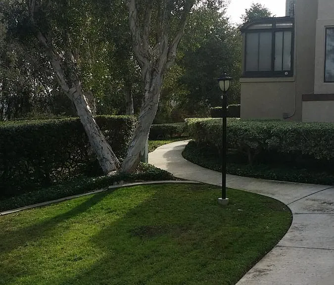 9925 Paseo Montril — Photo 14