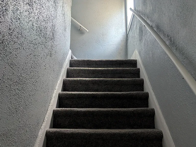 3825 Waverly St #2 — Photo 19