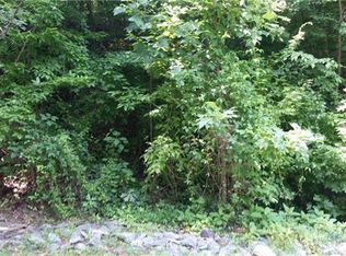 2219 E Cumming Woods Ln #11, Hendersonville, NC 28739