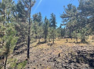 147 Haystack Rd, Hartsel, CO 80449