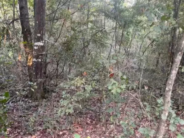 Tbd Nw 29th Trl, Jennings, FL 32053