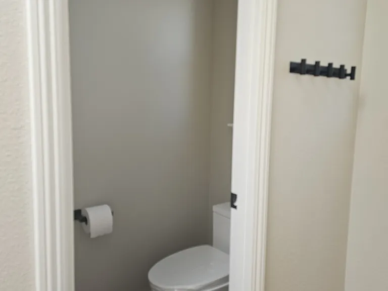 New skirted toilet