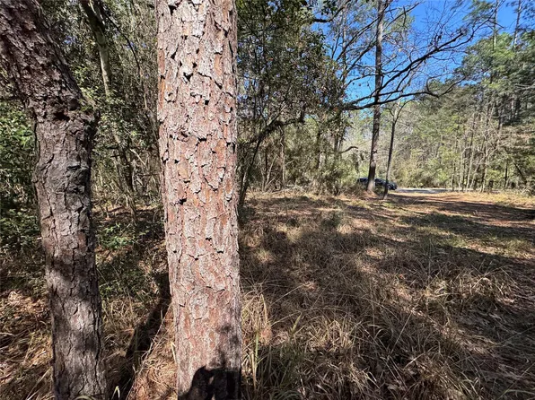 107 Whisperwood Dr Lot 107, Onalaska, TX 77360