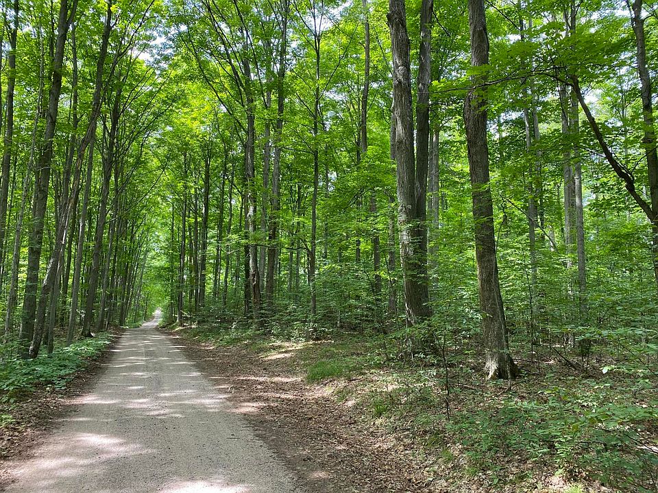 Old Vanderbilt Rd, Vanderbilt, MI 49795 Zillow