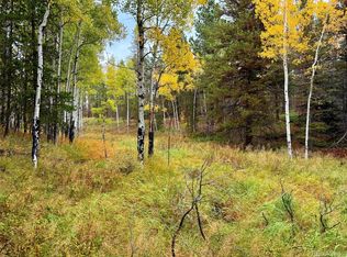 7 Wallace Ave, Conifer, CO 80433
