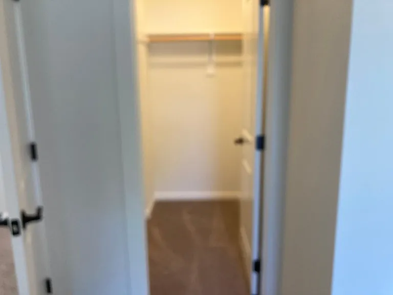 Walk in closet in master