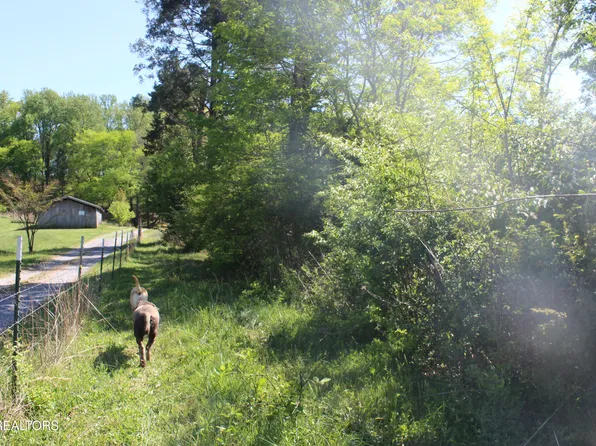 3780 Wayne Bryant Rd, Louisville, TN 37777