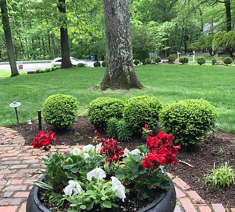 Mature landscaping