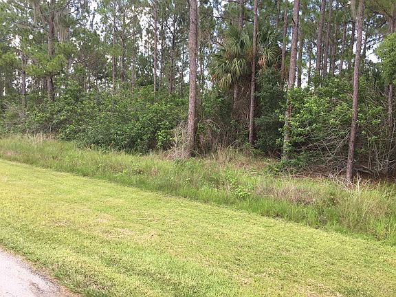 3rd image of 10 Palmetto Dr