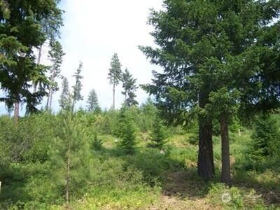 420 Big Rock Lane, Cle Elum, WA, 98922