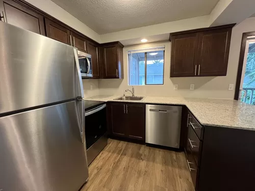 Fully Updated 2 Bed, 1 Bath Apartment, Stainless Appliances, Vinyl Plank Flooring Photo 1