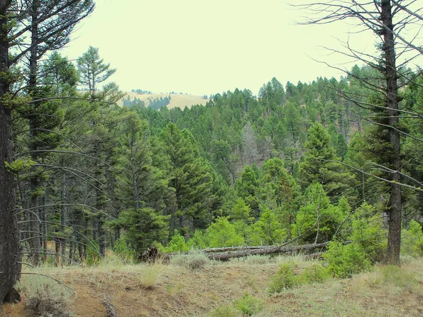 Nhn Boulder Chief Rd, Basin, MT 59631