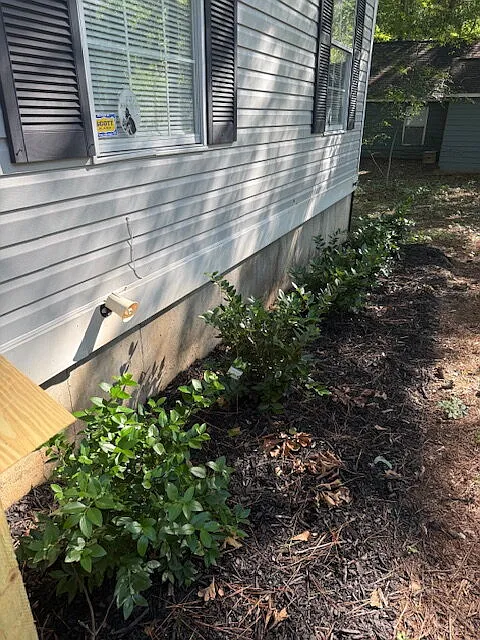 3 bed, 1.0 bath, 1061 sqft, $1,800 — Photo 3