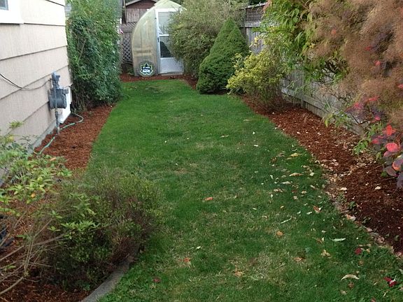 Side yard towards Greenhouse