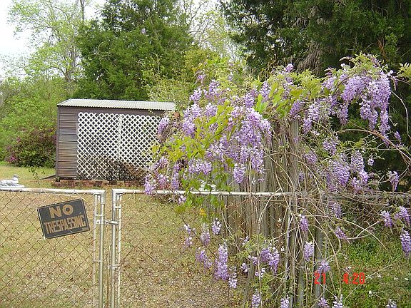 Gate to Back yard