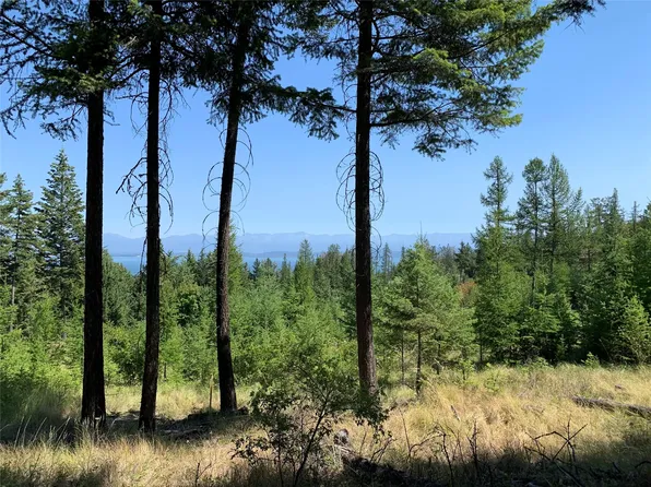 250 Monet Rd, Lakeside, MT 59922