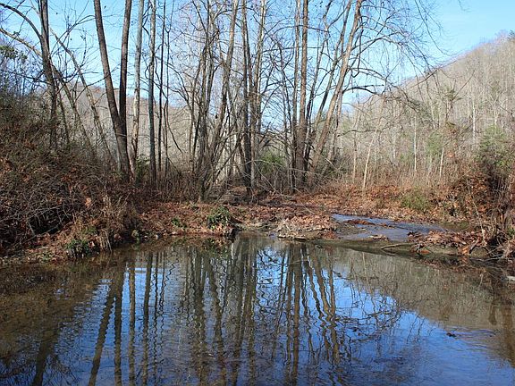 Year round stream at south edge of property