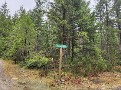 1 .23 Acre E Eagle Pt & Fairchild Hts Road, Shelton, WA, 98584