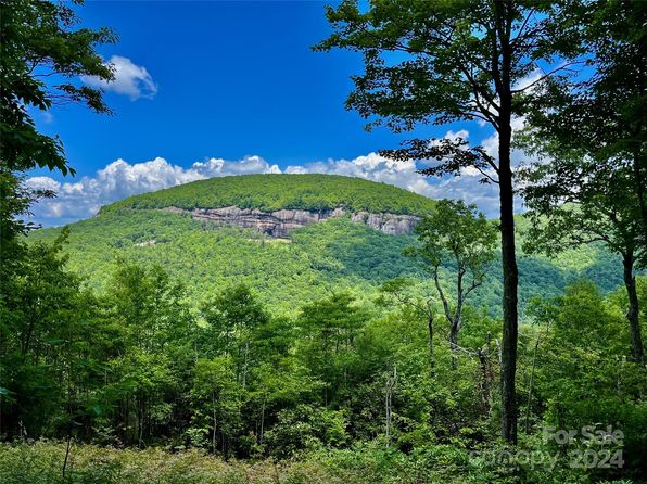 Mr 16 Meadow Ridge Rd, Lake Toxaway, NC 28747