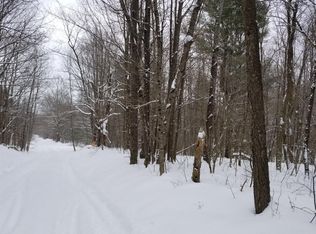 697 Lena Rd, Mount Vision, NY 13810