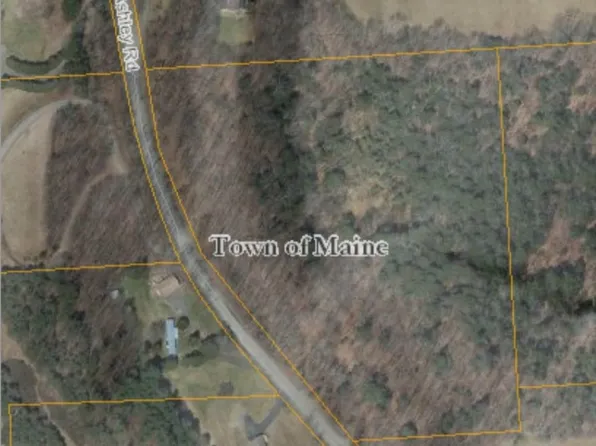 226 Ashley Rd, Maine, NY 13802