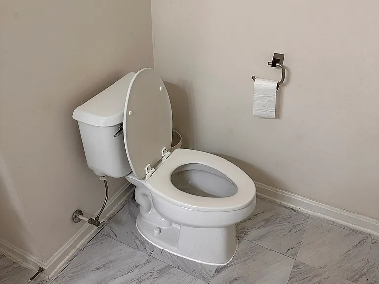 Master Bedroom Bathroom