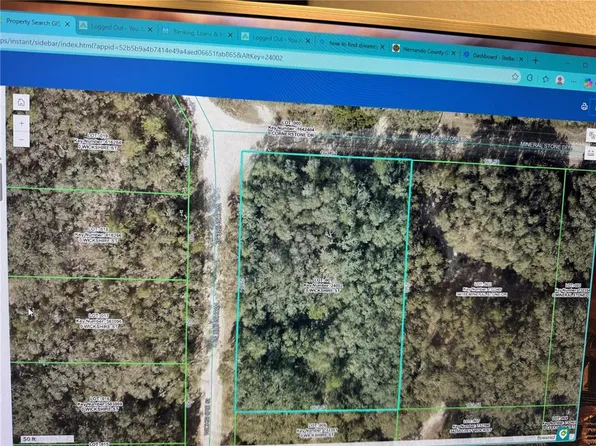 Wickshire St Lot 1, Webster, FL 33597