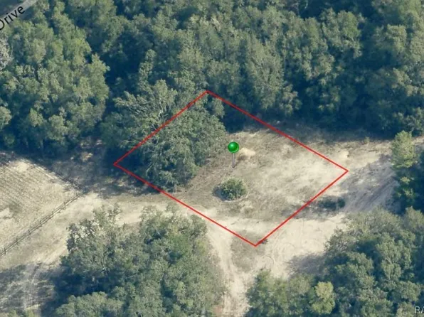 6482 N Bluebonnet Dr, Hernando, FL 34442