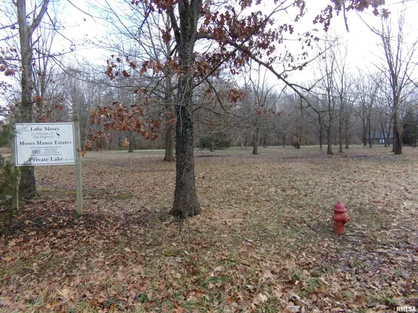 0 Moses Dr, Benton, IL 62812