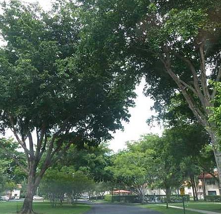 2nd image of 15813 W Waterside Cir APT 205