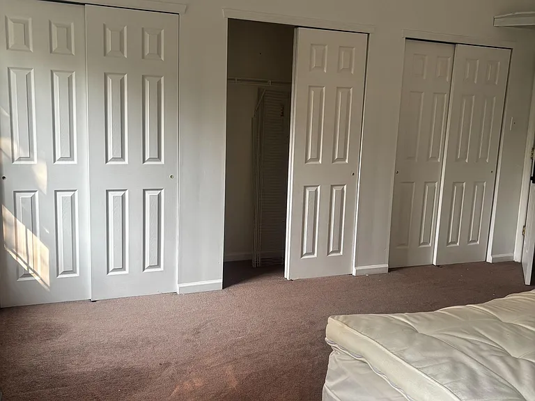 Spacious bedroom with carpet flooring and multiple sliding-door closets, including a walk-in closet with shelving.