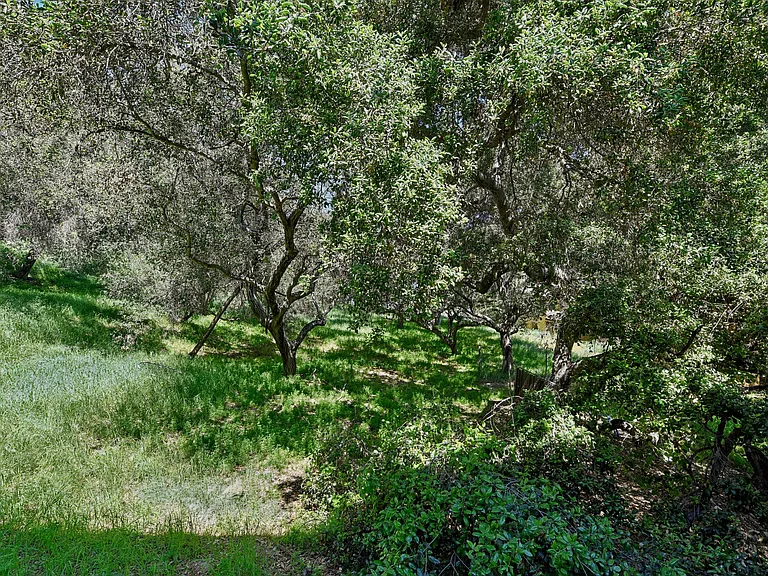 6317 Monterey Rd — Photo 25