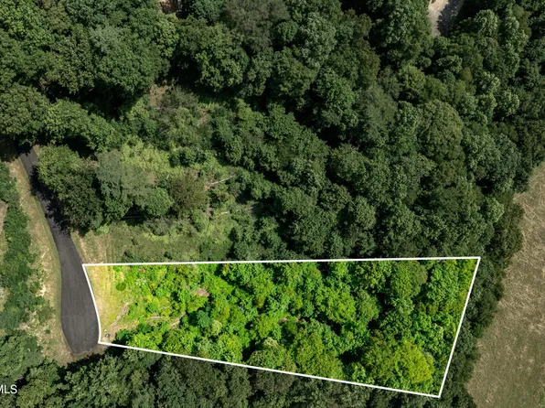 LOT 31 Ridge Run, Butler, TN 37640