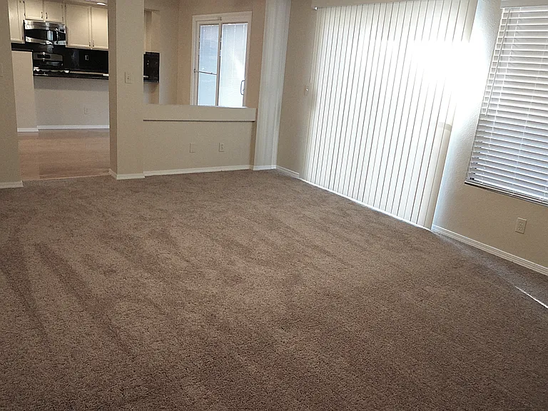 1474 Lodgepole Dr — Photo 5