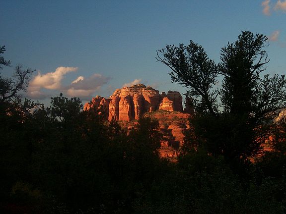 borders forest service