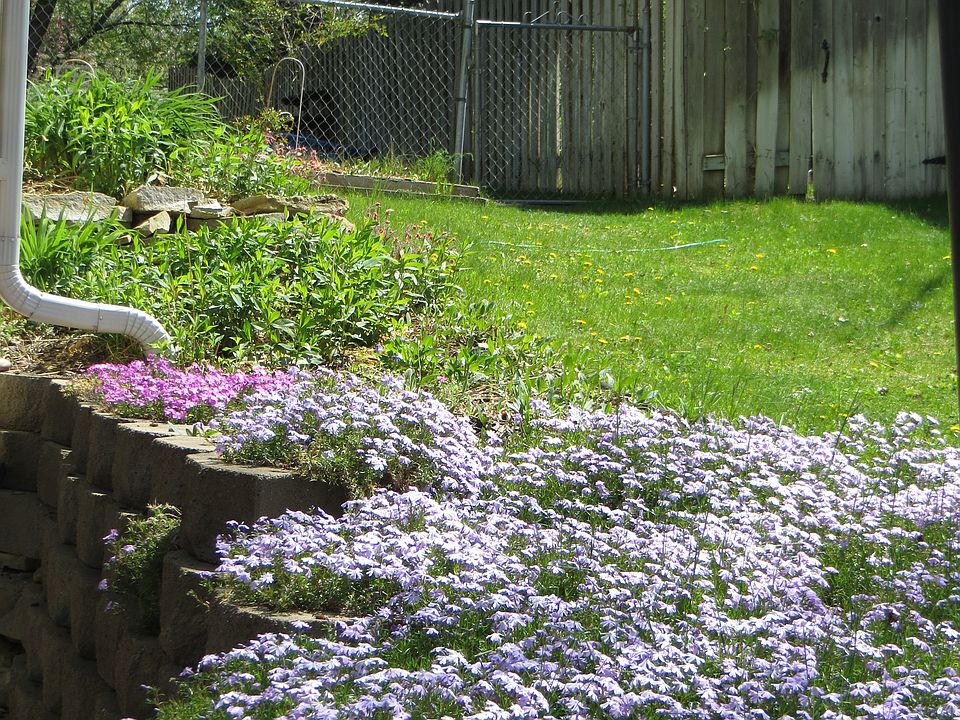 South Side Garden