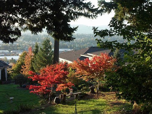 Autumn - Looking West
