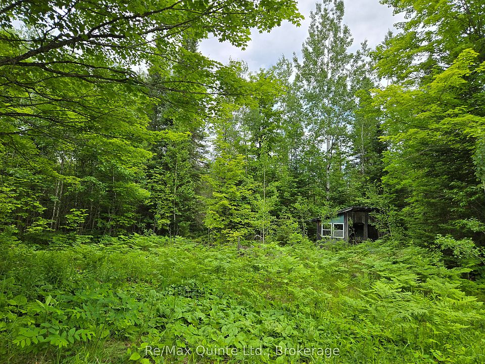 1st image of 40 Marquardt Rd