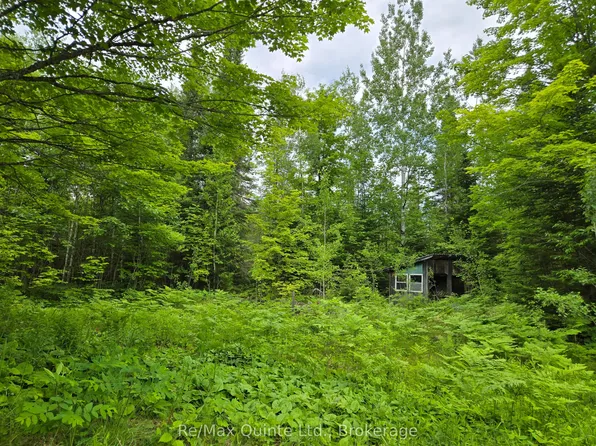 40 Marquardt Rd, Addington Highlands, ON K0H 1K0