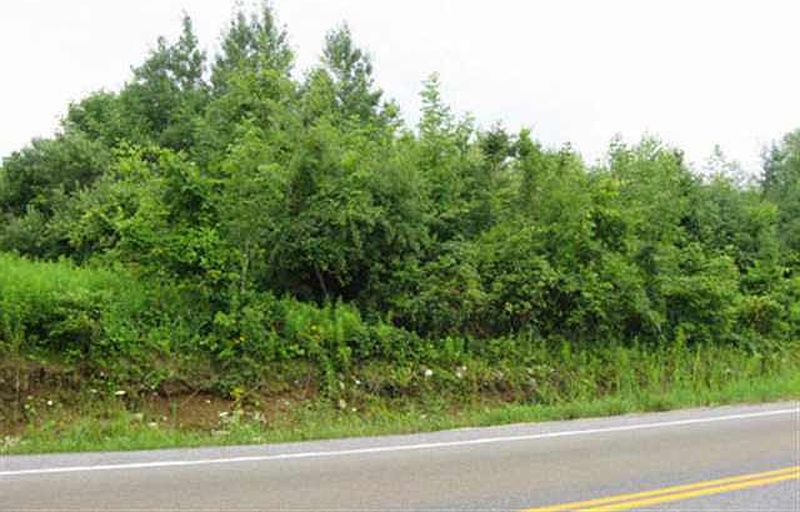 5th image of 0 COUNTY HIGHWAY 106 #Black Street