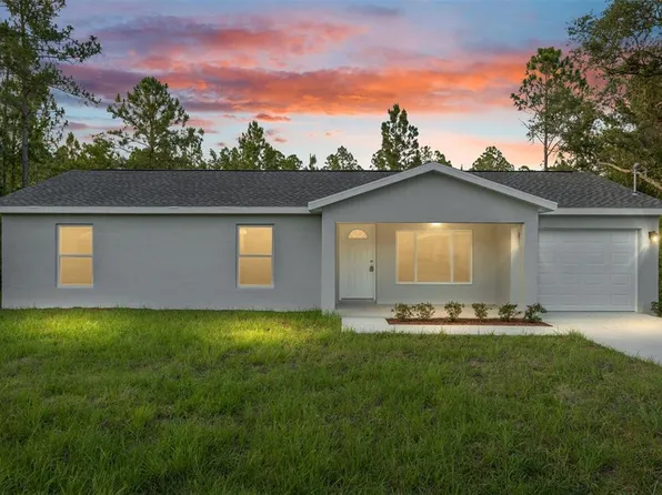 41 Malauka Ln, Ocklawaha, FL 32179