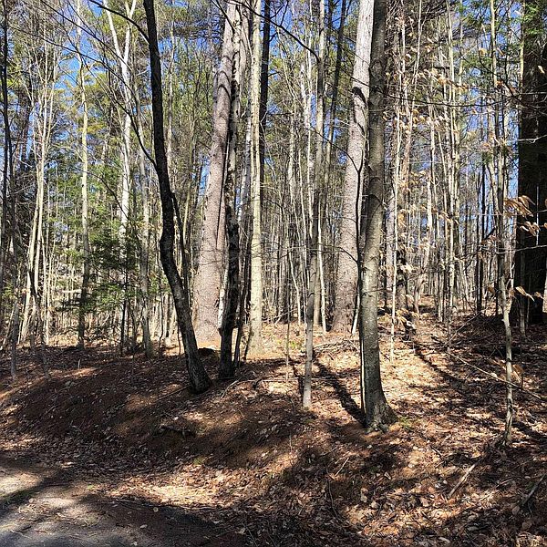 2nd image of 0 COOLIDGE HILL Road